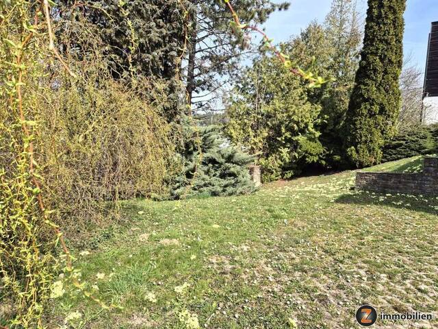 Immobilie in Lockenhaus - Großzügiges Wohnhaus mit Lift und viel Potential - Bild 2