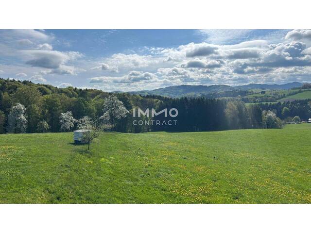 Immobilie in Hofstetten - Natur pur mit Weitblick - Bild 0