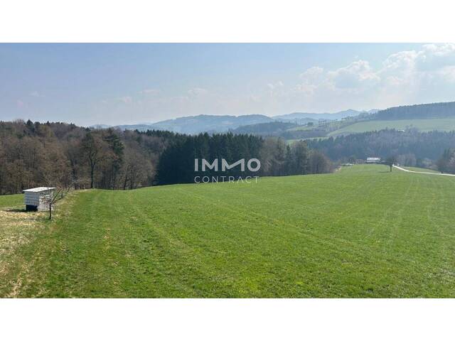 Immobilie in Hofstetten - Natur pur mit Weitblick - Bild 3