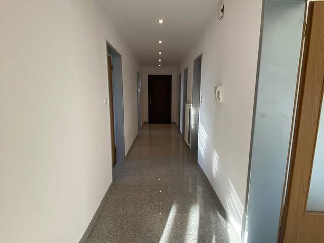 Immobilie in Höchst - Privatverkauf! Höchst: 3,5 Zimmer & Balkon im 3. OG (ohne Lift), mit Fahrradkeller, Gartennutzung & Spielplatz - Bild 2