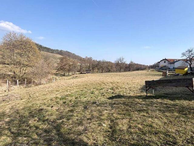 Immobilie in Schwarzenbach - Charmantes Einfamilienhaus mit Terrasse, Garage und zusätzlichem Grundstück - Bild 4