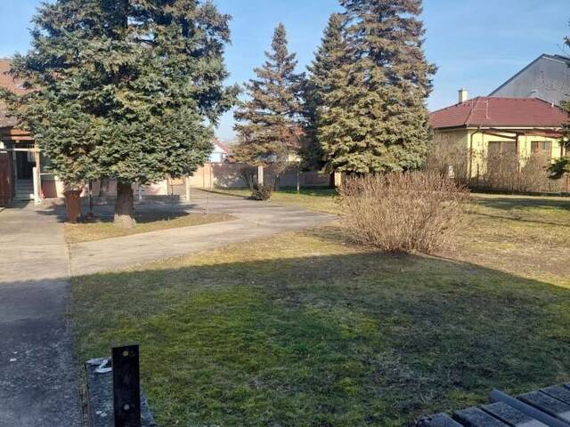 Immobilie in Pama - 2422 Pama - Einfamilienhaus mit Einstellhalle - Bild 2