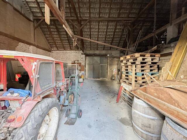 Immobilie in Sooß - [06748] Abbruchobjekt auf der Sooßer Weinstraße - Bild 3