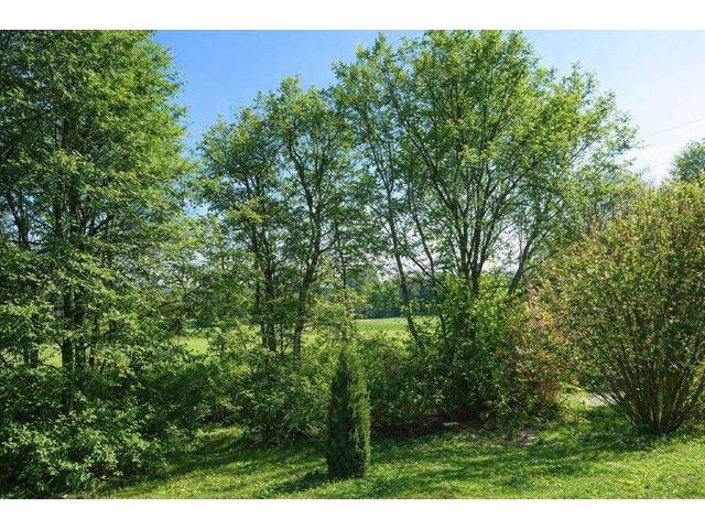 Immobilie in Teesdorf - Gepflegte 3-Zimmer-Eigentumswohnung mit Balkon in absoluter Ruhelage - Teesdorf - Bild 4