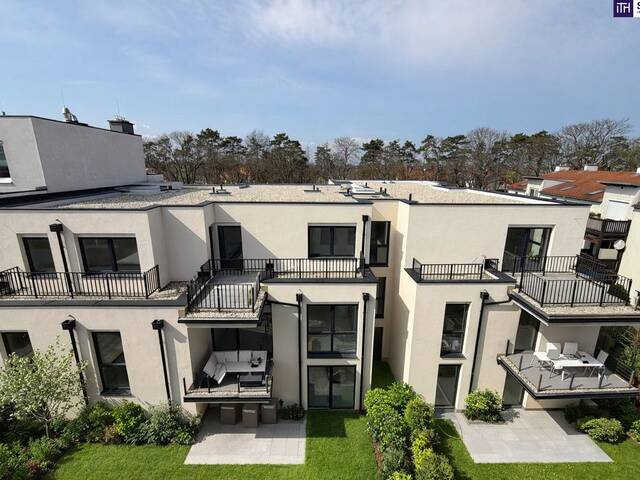 Immobilie in Groß-Enzersdorf - Geniale Wohnung mit 4 Zimmer und großer Sonnenterrasse! Ab Q3/26 - Bild 2