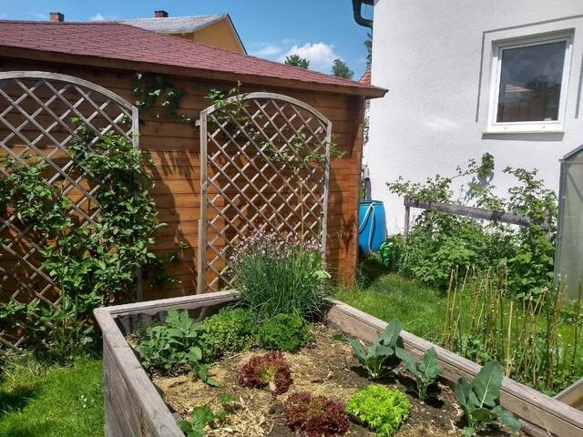 Immobilie in Zwettl-Niederösterreich - Einfamilienhaus mit Garten - Bild 3