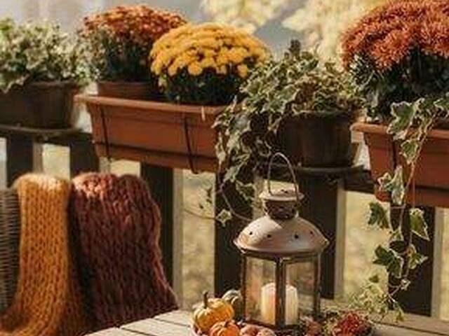 Immobilie in Plainfeld - Beneidenswerte 3-Zimmer-Dachterrassenwohnung - Wohndomizil Sonnenhang in Oberplainfeld Beneidenswerte 3-Zimmer-Dachterrassenwohnung - Bild 2