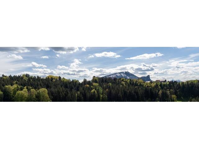 Immobilie in Plainfeld - Attraktive 2-Zimmer-Wohnung mit sonnenverwöhntem Balkon, Wohndomizil Sonnenhang in Oberplainfeld - Bild 4