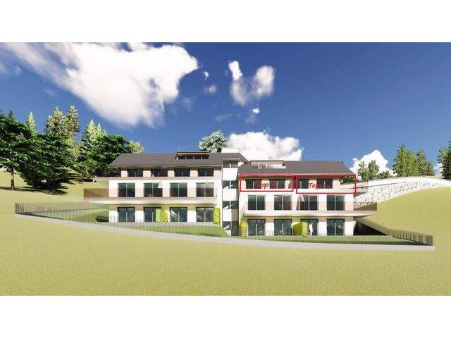 Immobilie in Plainfeld - Traumhaft schön! Lichtdurchflutete Garconnaire mit herrlicher Sonnenterrasse - Bild 3