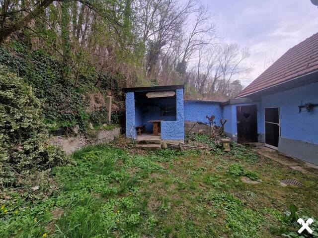 Immobilie in Stetteldorf am Wagram - SANIERUNGSBEDÜRFTIGES LANDHAUS MIT KLEINEM HOLZSCHUPPEN UND RUHIGEM INNENHOF AN DER WAGRAMKANTE MIT KLEINEM WEINKELLER FÜR 1-2 PERSONEN - Bild 3