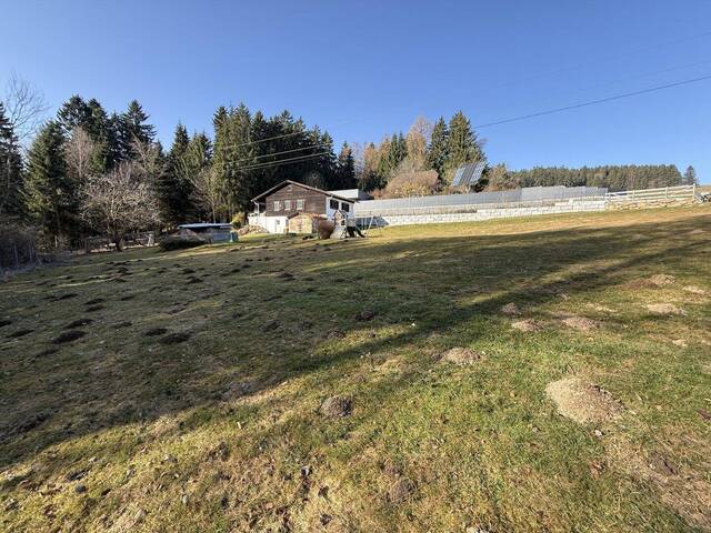 Immobilie in Lichtenberg - Naturparadies mit Zweitwohnsitzwidmung nahe der GIS in Lichtenberg - Bild 4