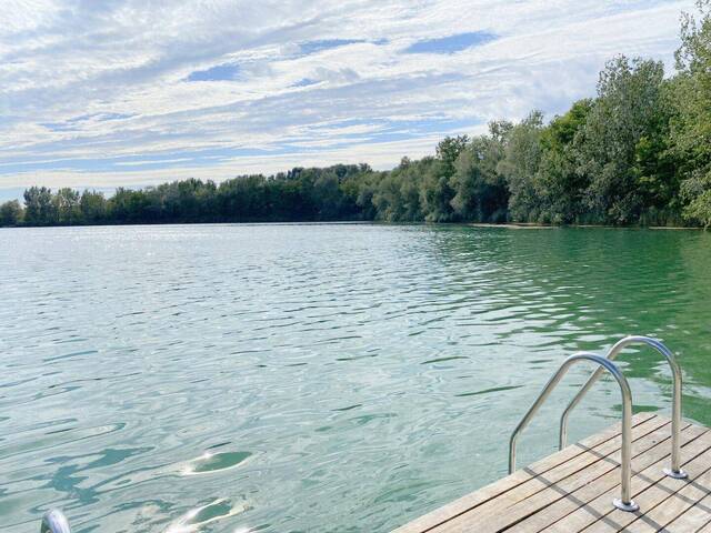 Immobilie in Fels am Wagram - Wohnen am See - 2 von 4! - Bild 0