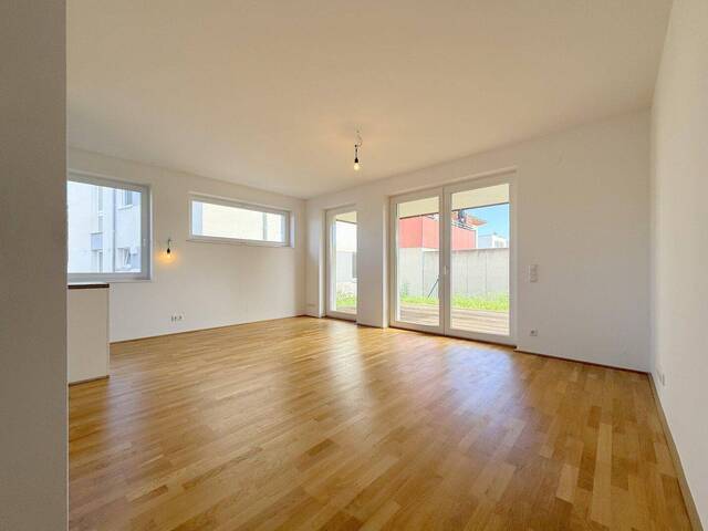 Immobilie in Fels am Wagram - Wohnen am See - 2 von 4! - Bild 1