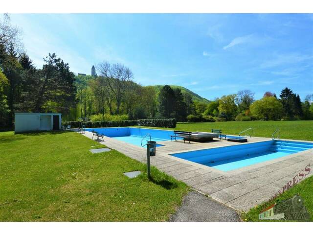 Immobilie in Seebenstein - Wohnen wie im Urlaub - Bungalow im Schlosspark Seebenstein - Bild 1