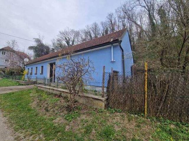 Immobilie in Stetteldorf am Wagram - SANIERUNGSBEDÜRFTIGES LANDHAUS MIT KLEINEM HOLZSCHUPPEN UND RUHIGEM INNENHOF AN DER WAGRAMKANTE MIT KLEINEM WEINKELLER FÜR 1-2 PERSONEN - Bild 1