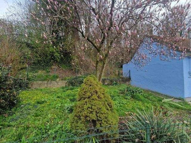 Immobilie in Stetteldorf am Wagram - SANIERUNGSBEDÜRFTIGES LANDHAUS MIT KLEINEM HOLZSCHUPPEN UND RUHIGEM INNENHOF AN DER WAGRAMKANTE MIT KLEINEM WEINKELLER FÜR 1-2 PERSONEN - Bild 2