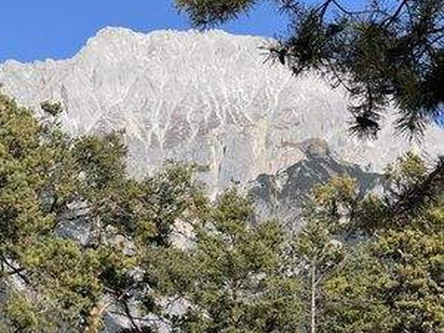 Immobilie in Untermieming - Wohnen auf der Sonnenseite Tirols - Ihr Traum mit Freizeitwidmung - Bild 1