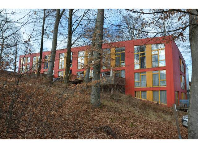 Immobilie in Bürmoos - BÜRMOOS | 2-Zimmerwohnung mit Loftcharakter inmitten der Natur (derzeit befristet vermietet) - Bild 1