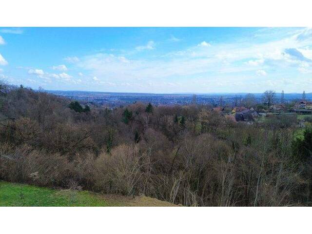 Immobilie in Leibnitz - Kainberg - Leibnitz - Bild 2