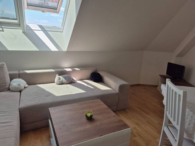 Immobilie in Langenzersdorf - Charmante Dachgeschosswohnung in Langenzersdorf - Bild 0