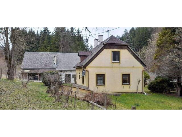 Immobilie in Lassing - Einfamilienhaus mit Wirtschaftsgebäude und Doppelgarage - Bild 3