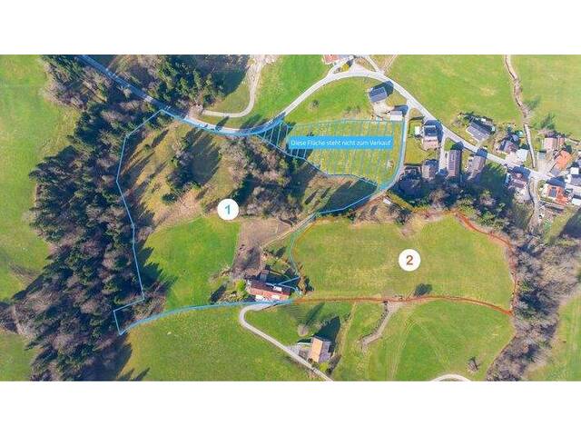 Immobilie in Thal - Sulzberg-Thal | Mehrparteienhaus | Großzügiges Anwesen mit 50.012 m² - Bild 2