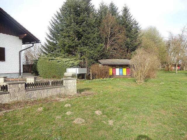 Immobilie in Altheim - Rarität: Wohnhaus mit viel Grund und Wald in Altheim - Bild 2