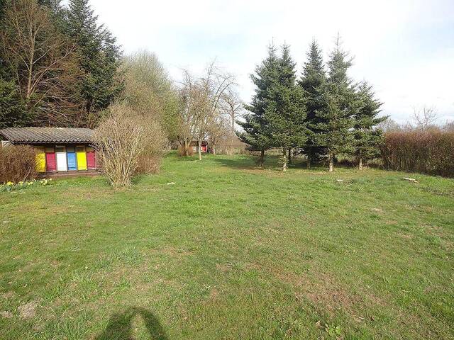 Immobilie in Altheim - Rarität: Wohnhaus mit viel Grund und Wald in Altheim - Bild 3