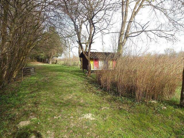 Immobilie in Altheim - Rarität: Wohnhaus mit viel Grund und Wald in Altheim - Bild 4
