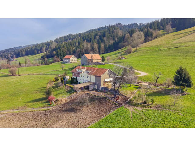 Immobilie in Thal - Sulzberg-Thal | Mehrparteienhaus | Großzügiges Anwesen mit 50.012 m² - Bild 1