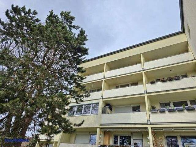 Immobilie in Breitenfurt bei Wien - Startwohnung - 1 Zimmer - toller Grünblick - sanierungsbedürftig - Bild 0