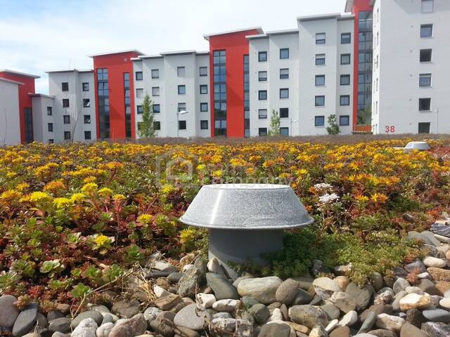 Immobilie in Köflach - Top-gepflegtes Mehrfamilienhaus in Köflach, 5 Zimmer, 3 Bäder, Ihr Renditeobjekt! - Bild 0