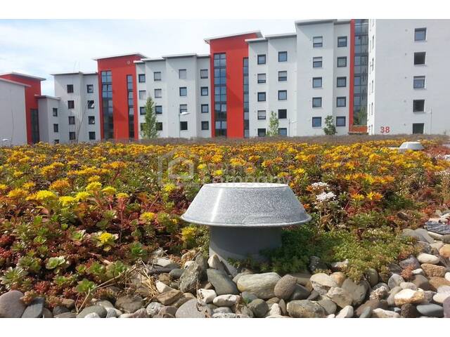 Immobilie in Köflach - Top-gepflegtes Mehrfamilienhaus in Köflach, 5 Zimmer, 3 Bäder, Ihr Renditeobjekt! - Bild 2