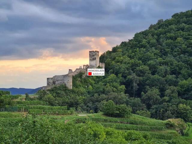 Immobilie in Spitz - ,,SCHÖNE EIGENTUMSWOHNUNG IM HERZEN DER WACHAU,, - Bild 0