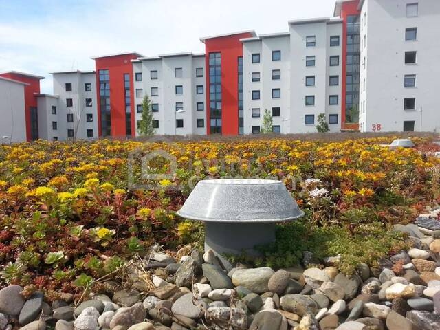 Immobilie in Oberwart - Top Zinshaus in 7400 Oberwart - Mit Mega Rendite - Einfach anfragen - Bild 0