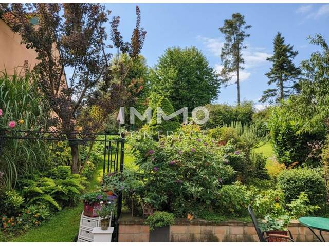 Immobilie in Ulrichskirchen - Einfamilienhaus inmitten eines grünen Gartenparadieses in Ulrichskirchen - Ihr neues Zuhause! - Bild 2