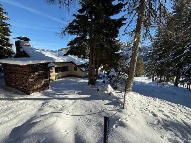 Immobilie in Sonnenalpe Nassfeld - Neuer Preis: Ski-in/Ski-out-Chalet am Nassfeld - alpines Freizeitjuwel in Bestlage - Bild 0