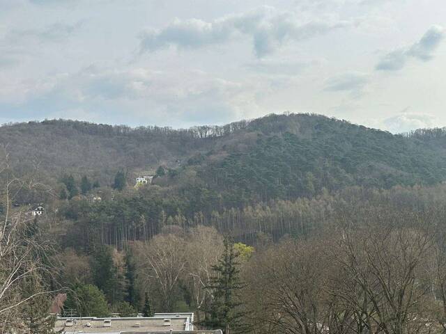 Immobilie in Kierling - Klosterneuburg - Ein Ausblick wie vom Adlerhorst .. - Bild 0