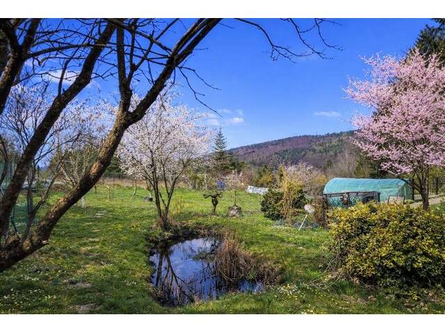 Immobilie in Rekawinkel - Familientraum im Wienerwald! Einfamilienhaus mit großem Garten! - Bild 1