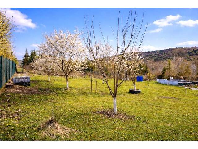 Immobilie in Rekawinkel - Familientraum im Wienerwald! Einfamilienhaus mit großem Garten! - Bild 4