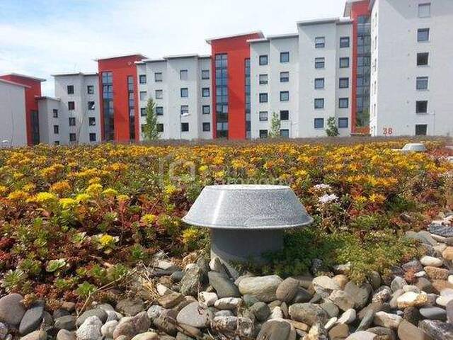 Immobilie in Oberwart - Top Zinshaus in 7400 Oberwart - Mit Mega Rendite - Einfach anfragen - Bild 0