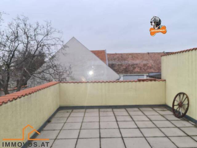 Immobilie in Probstdorf - IDYLLISCH WOHNEN UND ARBEITEN AM STADTRAND - FAST ALLES IST HIER MÖGLICH - Bild 4