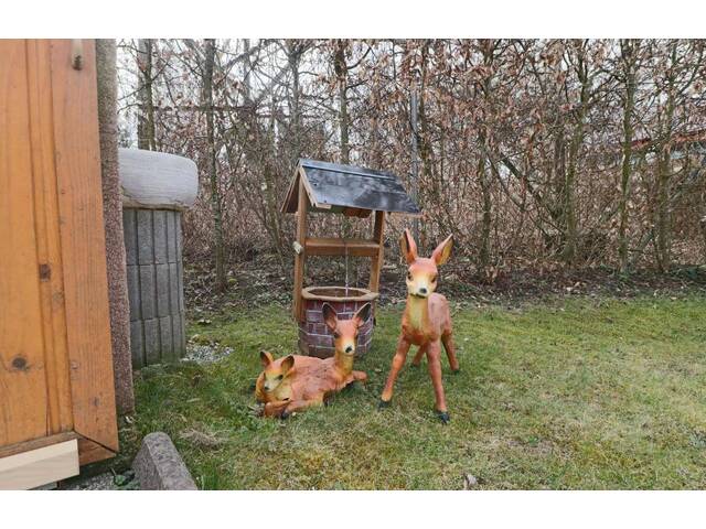 Immobilie in Kronstorf - Ganzjährig im Kleingartenhaus - Urlaubsfeeling das ganze Jahr - Bild 4