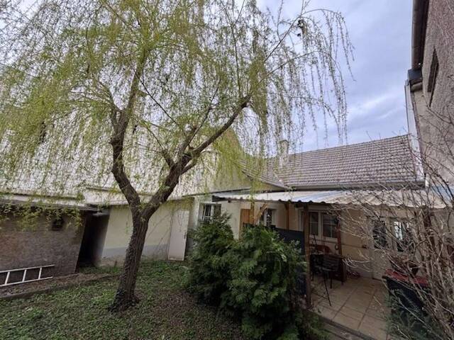 Immobilie in Podersdorf am See - Verborgene Oase im Herzen von Podersdorf - charmantes Haus mit Privatsphäre, Gartenidylle und großem Zukunftspotenzial - Bild 0