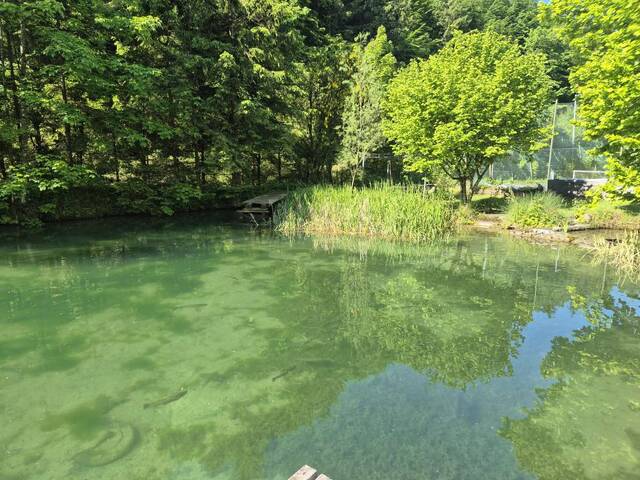 Immobilie in Ybbsitz - Doppelhaus mit Teichanlage in Ruhelage! - Bild 0