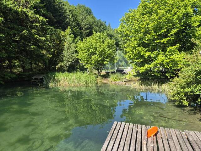 Immobilie in Ybbsitz - Doppelhaus mit Teichanlage in Ruhelage! - Bild 1