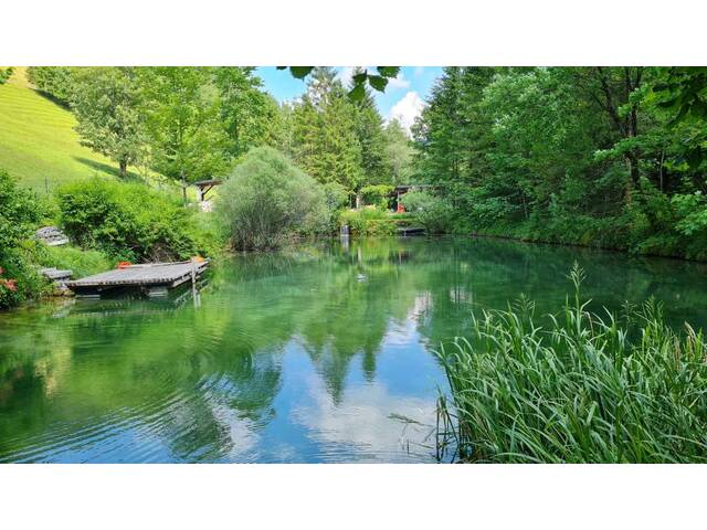 Immobilie in Ybbsitz - Optimal für Familien die das Landleben schätzen! - Bild 4