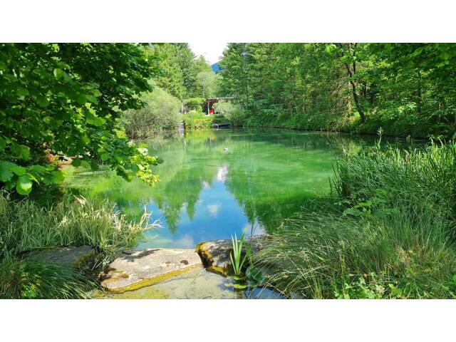 Immobilie in Ybbsitz - Großzügige Ferienwohnung zum Entspannen! - Bild 1