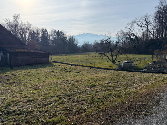 Immobilie in Koblach - Neue Doppelhaus-Hälfte in Ziegelbauweise inkl. Grundstück € 588.000,00 plus WBF! - Bild 3