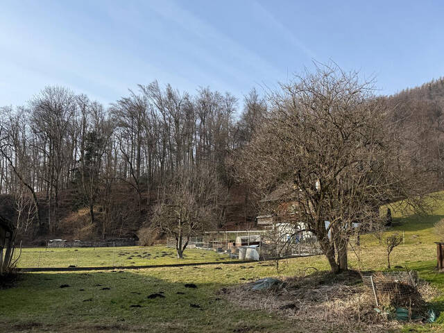 Immobilie in Koblach - Neue Doppelhaus-Hälfte in Ziegelbauweise inkl. Grundstück € 588.000,00 plus WBF! - Bild 4